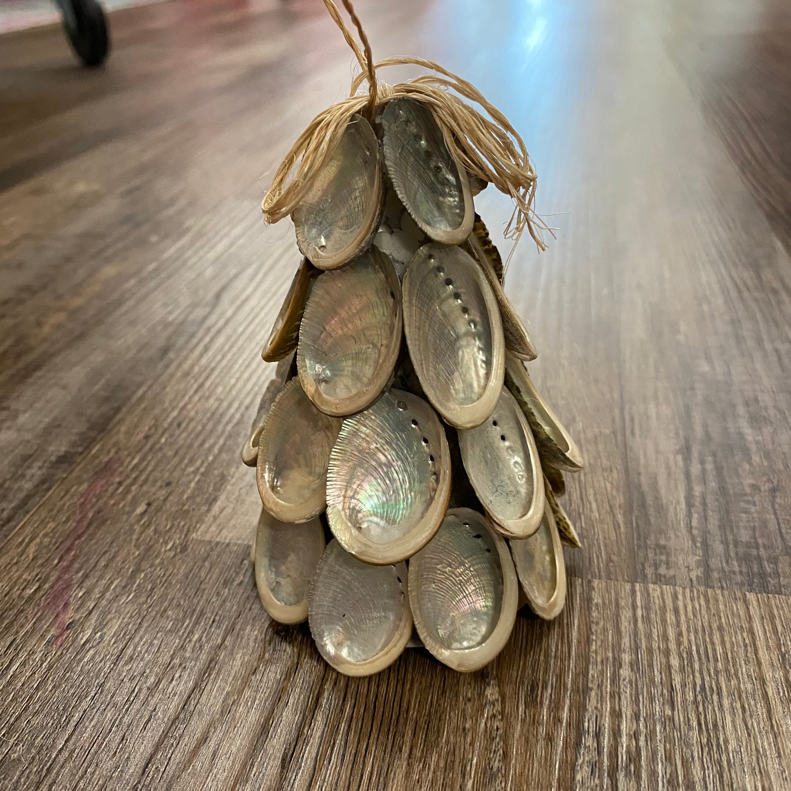 Abalone Tree